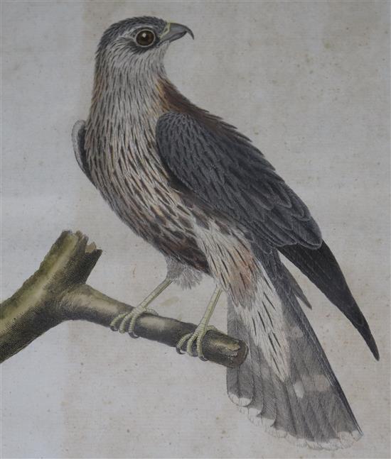 Three late 19th century chromolithographs